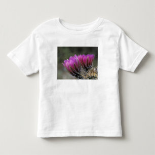 Camiseta De Bebé NA, EE. UU., Arizona, Desierto de Sonora. Erizo