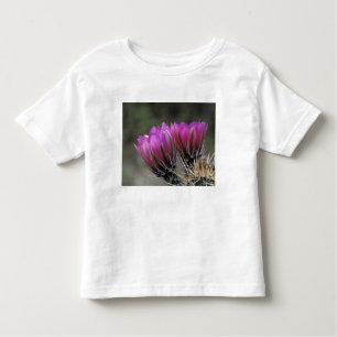 Camiseta De Bebé NA, EE.UU., Arizona, desierto de Sonoran.Erizo