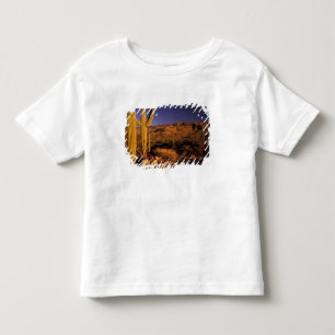 Camiseta De Bebé NA, EE. UU., Arizona, Monumento Nacional Saguaro,
