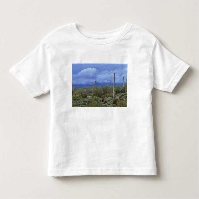 Camiseta De Bebé NA, EE.UU., Arizona, Monumento Nacional Saguaro, (Anverso)