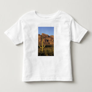 Camiseta De Bebé NA, EE. UU., Arizona. Organ Pipe Cactus National