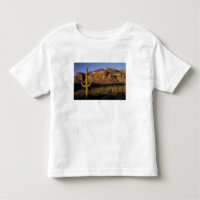 NA, EE. UU., Arizona. Organ Pipe Cactus National 2