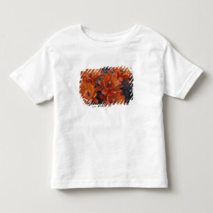 Camiseta De Bebé NA, EE.UU., Arizona, San Xavier. Cactus de la copa