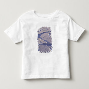Camiseta De Bebé NA, EE. UU., California. Death Valley Nacional