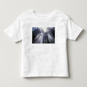 Camiseta De Bebé NA, EE. UU., California. Del Norte Coast State 2