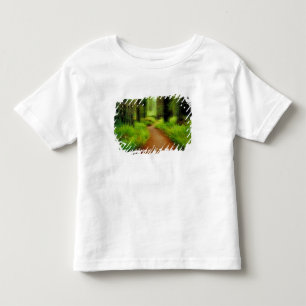 Camiseta De Bebé NA, EE. UU., California, Jedediah Smith Redwoods