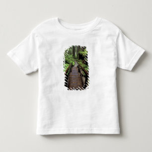 Camiseta De Bebé NA, EE. UU., California, Jedidiah Smith Redwoods
