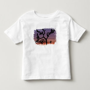 Camiseta De Bebé NA, EE. UU., California. Joshua Tree National