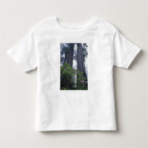 Camiseta De Bebé NA, EE.UU., California. Parque Estatal de la Costa