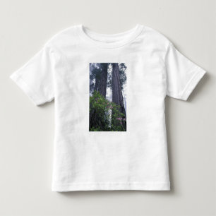 Camiseta De Bebé NA, EE. UU., California. Parque estatal Del Norte