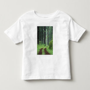 Camiseta De Bebé NA, EE. UU., California. Parque estatal Del Norte 