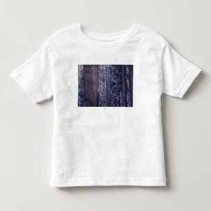 Camiseta De Bebé NA, EE. UU., California. Parque Nacional Sequoia. 
