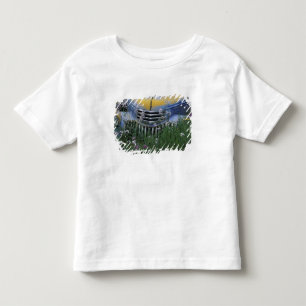 Camiseta De Bebé NA, EE. UU., este de Washington, Camión viejo con