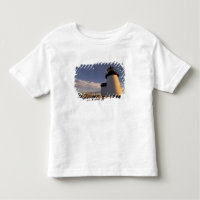 NA, EE. UU., Massachusetts, Isla Nantucket, 3