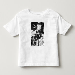 Camiseta De Bebé NA, EE. UU., Nueva York, Nueva York Ciudad. Palmer
