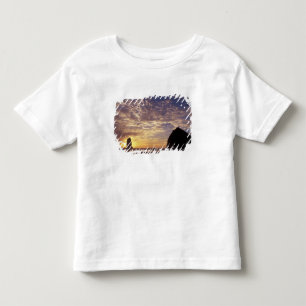 Camiseta De Bebé NA, EE. UU., Oregón, Costa de Oregón, Canon Beach