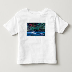 Camiseta De Bebé NA, EE. UU., Oregón, follaje de otoño en North Ump