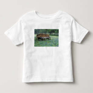 Camiseta De Bebé NA, EE. UU., Texas, al este de Devine, Viejo vagón