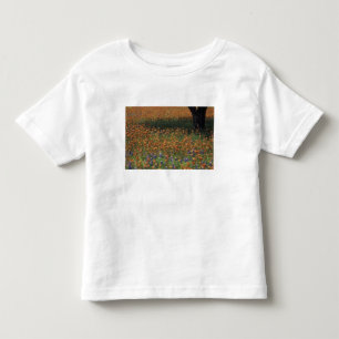 Camiseta De Bebé NA, EE. UU., Texas, Hill Country, Pincel y