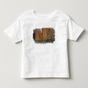 Camiseta De Bebé NA, EE. UU., Texas, Parque Nacional Big Bend. Río