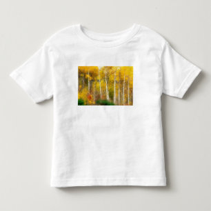 Camiseta De Bebé NA, EE. UU., Washington, Árboles de Aspen otoñales