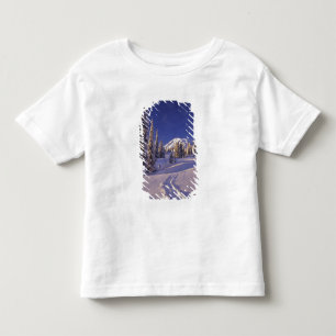 Camiseta De Bebé NA, EE. UU., Washington, Mt. Rainier NP, raquetas