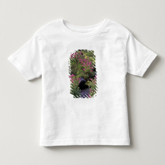 Camiseta De Bebé NA, EE. UU., Washington, Mt. Rainier NP, Rosa (Anverso)