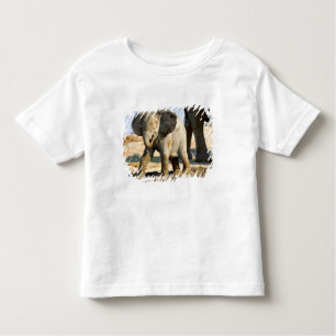Camiseta De Bebé Namibia, África: Bebé elefante africano