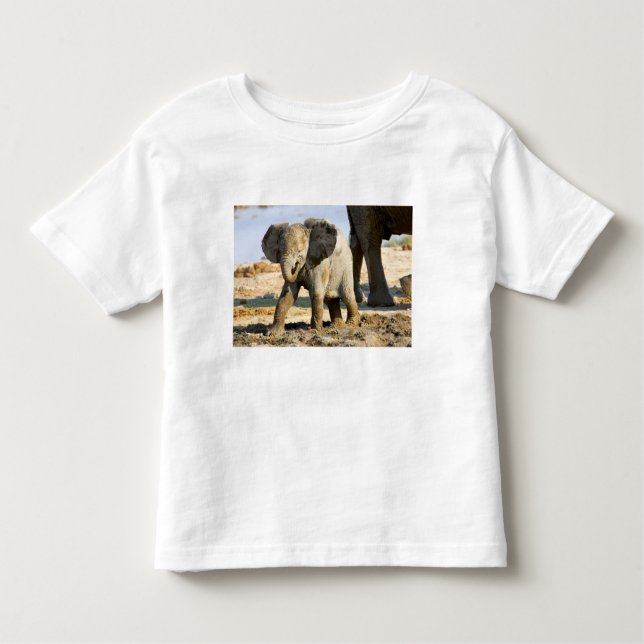 Camiseta De Bebé Namibia, África: Bebé elefante africano (Anverso)