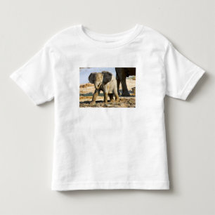 Camiseta De Bebé Namibia, África: cría de elefante africano