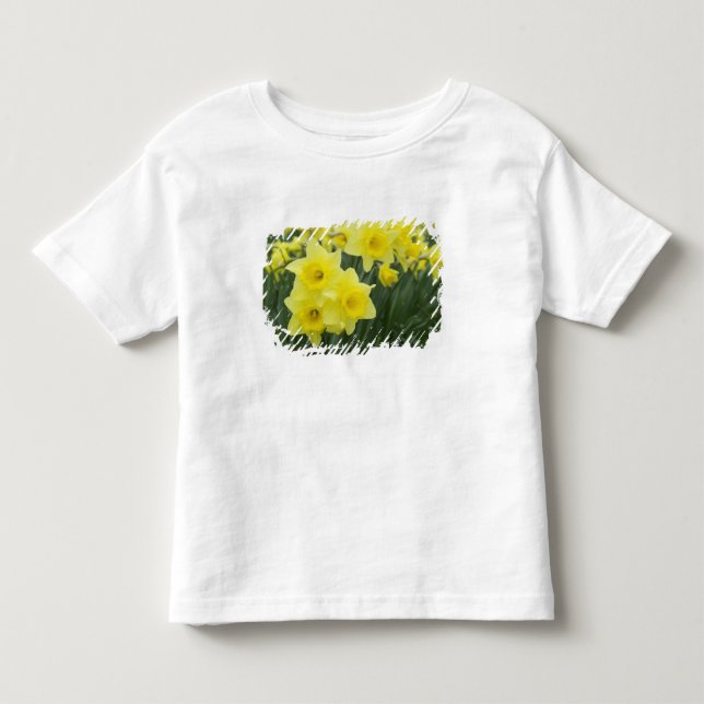 Camiseta De Bebé Narcisos RF) (Anverso)