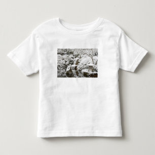 Camiseta De Bebé Nevada en el Jardín Japonés de Portland, 2