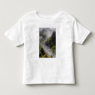 Camiseta De Bebé Niebla elevándose desde la ladera de la montaña de