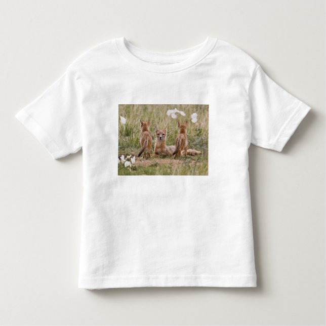 Camiseta De Bebé Niña de Swift Fox (Vulpes velox) con (Anverso)