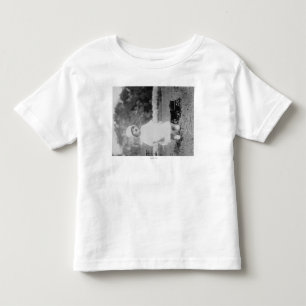Camiseta De Bebé Niña pequeña con carros de juguete. Fotografía