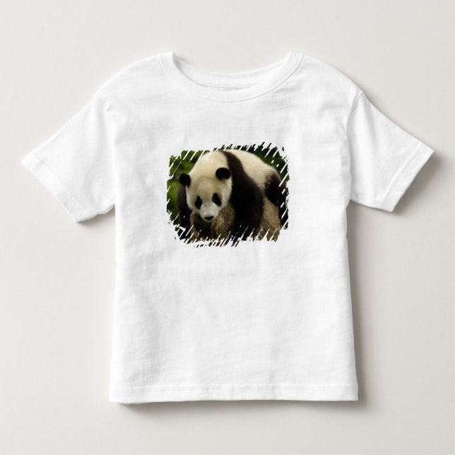 Camiseta De Bebé Niño panda gigante (Ailuropoda melanoleuca) (Anverso)