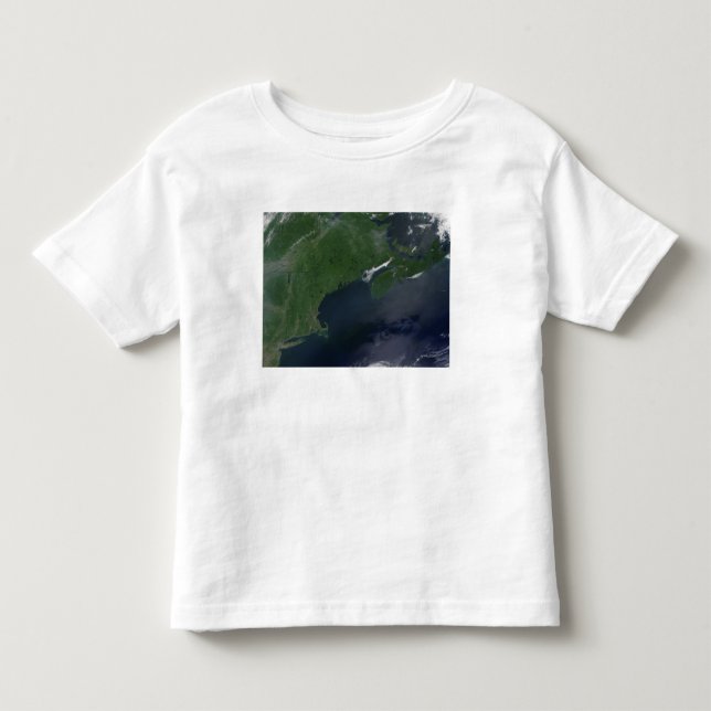 Camiseta De Bebé Noreste de Estados Unidos y Canadá (Anverso)