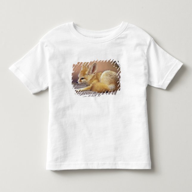 Camiseta De Bebé Norte de África. Fennec Fennecus zerda) (Anverso)
