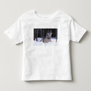 Camiseta De Bebé Norteamérica, Canadá, Canadá Oriental, Lobo gris