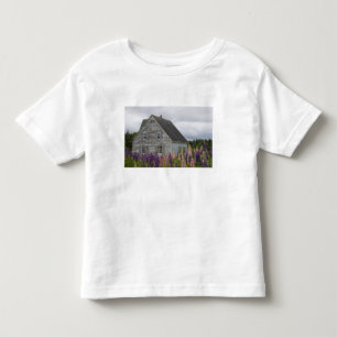 Camiseta De Bebé Norteamérica, Canadá, Isla del Príncipe Eduardo,