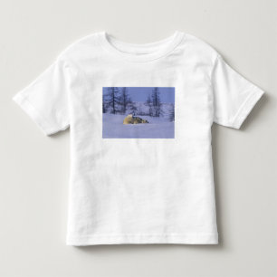 Camiseta De Bebé Norteamérica, Canadá, Manitoba, Churchill