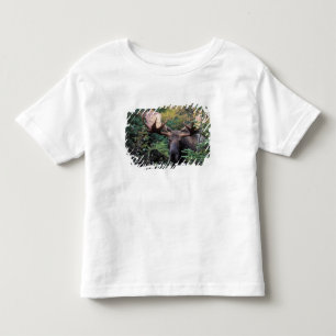 Camiseta De Bebé Norteamérica, Canadá, Nueva Escocia, Cabo Bretón