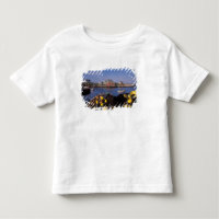Norteamérica, Canadá, Nueva Escocia, Peggy's