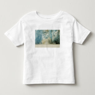 Camiseta De Bebé Norteamérica, EE. UU., AK, Paso Interior,