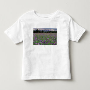 Camiseta De Bebé Norteamérica, EE. UU., Alaska, Anchorage, Eklutna