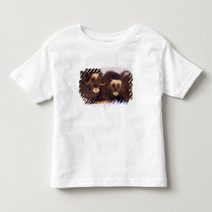 Camiseta De Bebé Norteamérica, EE. UU., Alaska, Círculo polar ártic