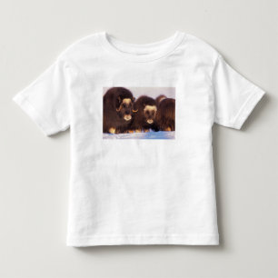 Camiseta De Bebé Norteamérica, EE. UU., Alaska, Círculo Polar Ártic
