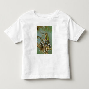 Camiseta De Bebé Norteamérica, EE. UU., Alaska. Colibrí rufo