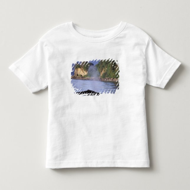 Camiseta De Bebé Norteamérica, EE. UU., Alaska, Paso Interior. (Anverso)