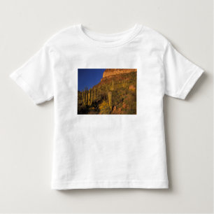Camiseta De Bebé Norteamérica, EE.UU., Arizona, Cactus de tuberías 